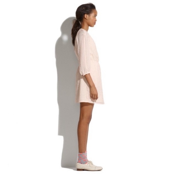 Blush Madewell Clipdot Dress - Picture 2 of 7